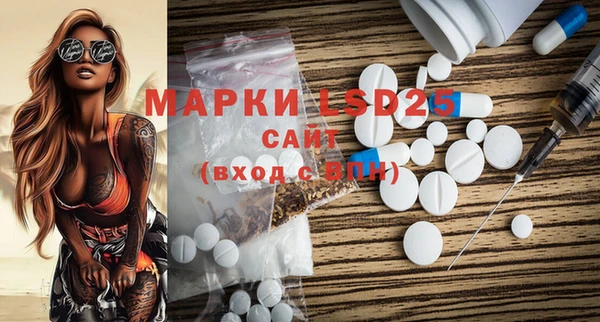 ГАЛЛЮЦИНОГЕННЫЕ ГРИБЫ Абаза