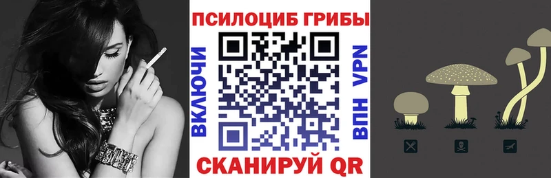 Галлюциногенные грибы Cubensis Черемхово